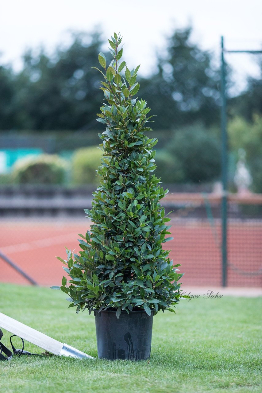 Bild 83 - Lilienthal Open